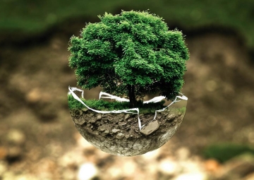 Bądź eko - Małe kroki ku zrównoważonemu rozwojowi